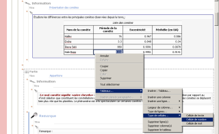 Format des cellules dans les tableaux intégrés xml.